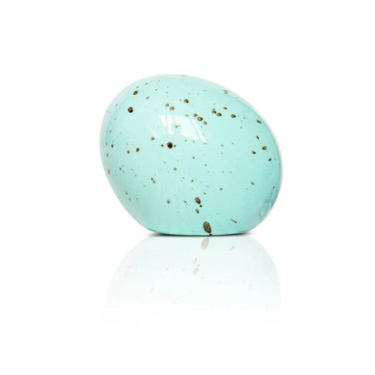 Eggstra-ordinary (Robin's Blue Egg) Mini
