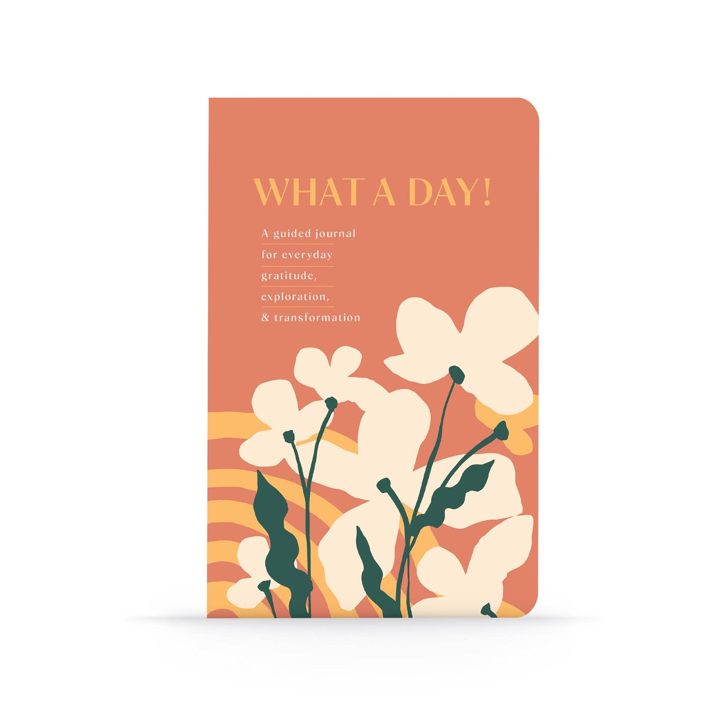 What a Day Guided Journal