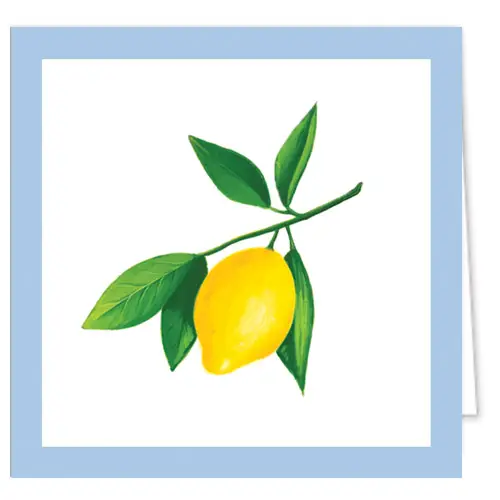 Lemon Enclosure Cards + Envelopes