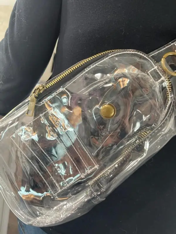 Cooper Clear Crossbody Bag Gold